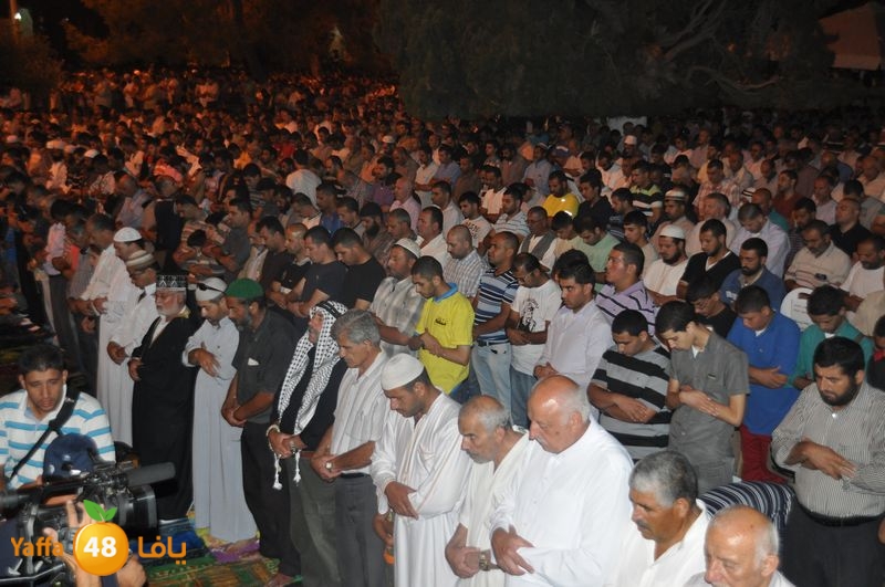 lud trawer7 aqsa 805 (3).JPG